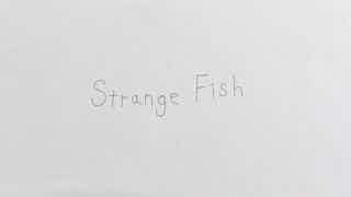 Screenshot of Strange Fish