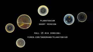 Screenshot of Planktonium - SHORT VERSION